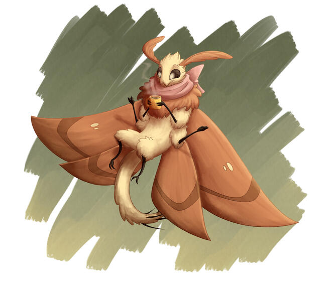 Coffee Moth
